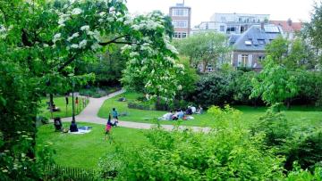 Le Parc Tenbosch : du rêve d'un enfant à un jardin extraordinaire
